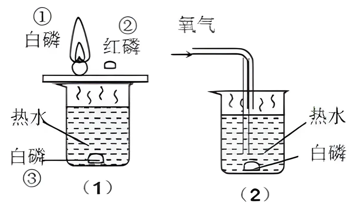 可燃物燃烧条件探究实验装置示意图（白磷、红磷对比实验）
