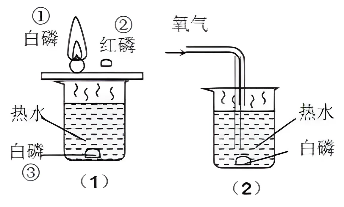 可燃物燃烧条件探究实验装置示意图（白磷、红磷对比实验）