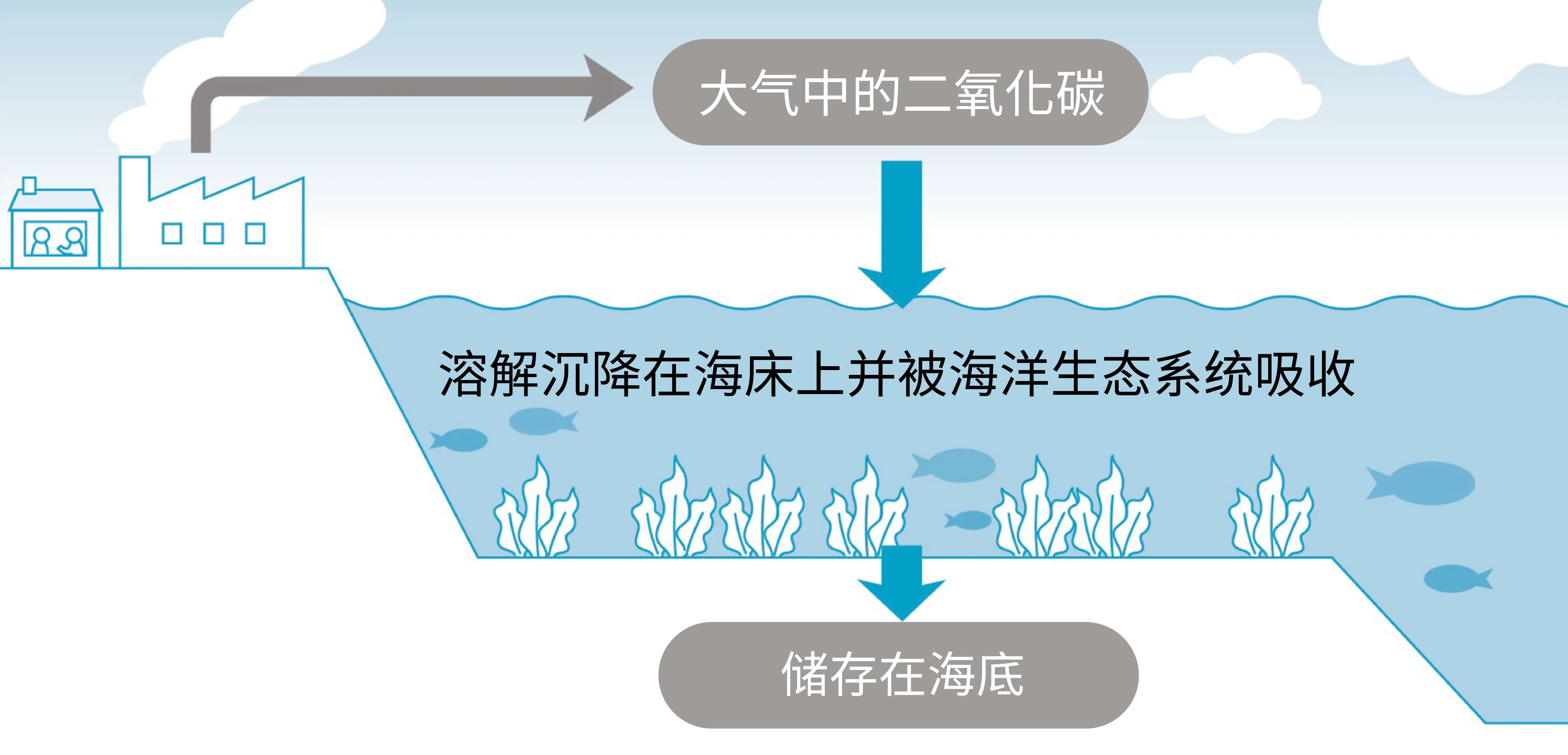二氧化碳海洋封存示意图，展示大气二氧化碳被海洋吸收储存的过程。